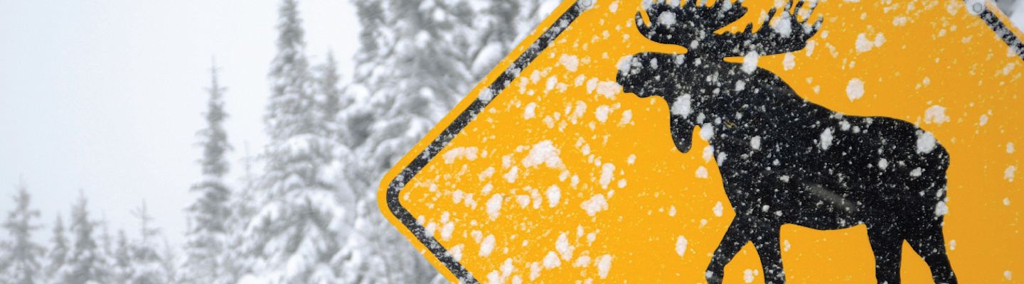 adverse weather arrangement on IELTS test day